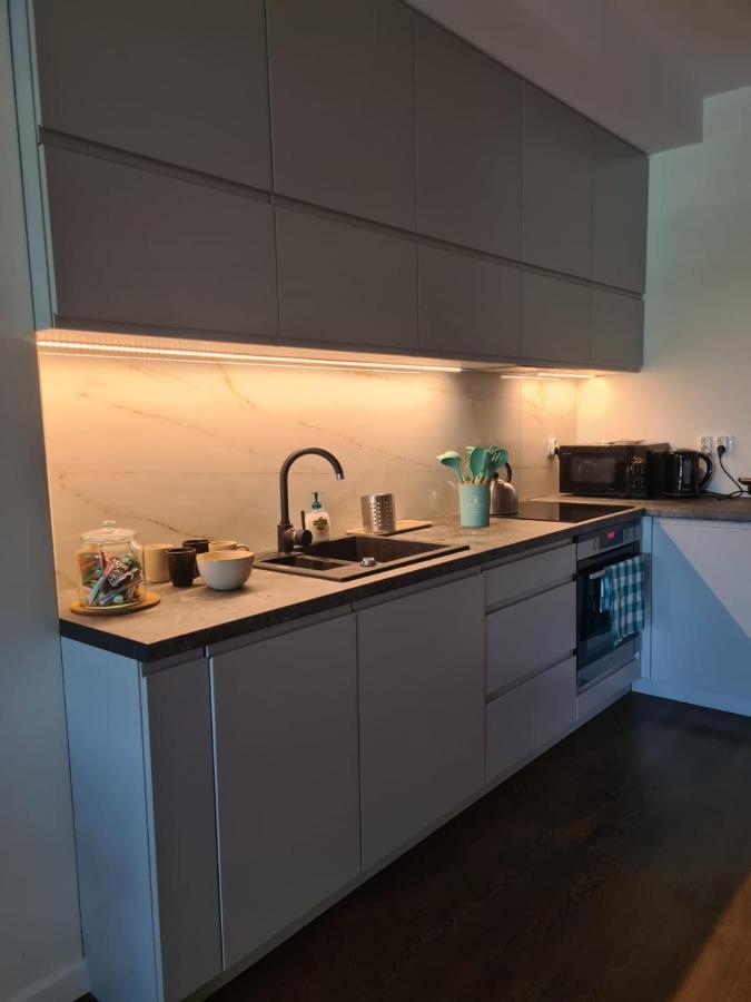Venice Villa Apartment, Self Check-In 24H, Free Parking 波兹南 外观 照片